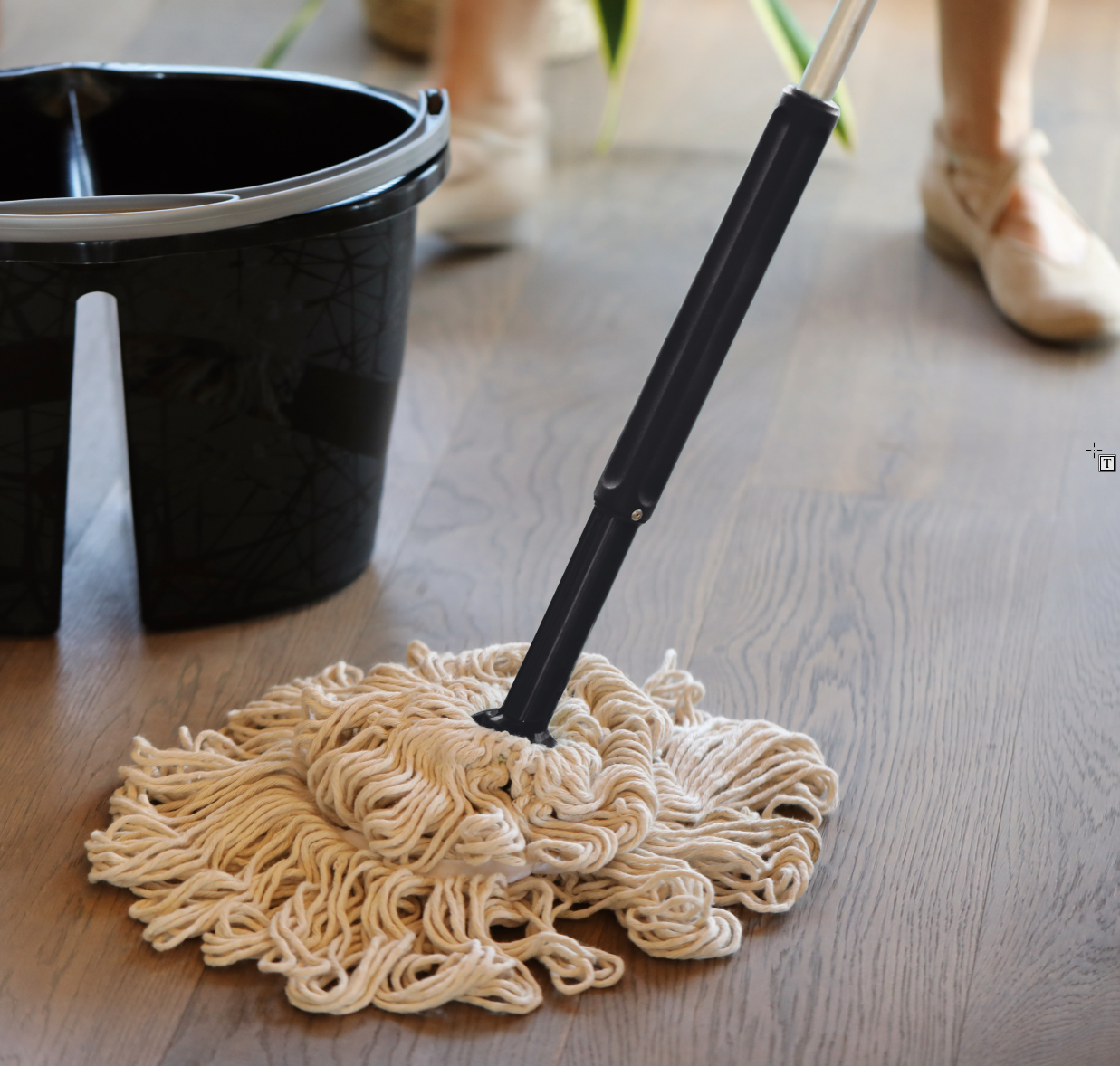 Twistmop Image2